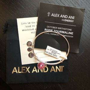 Alex and ani bracelet NEW